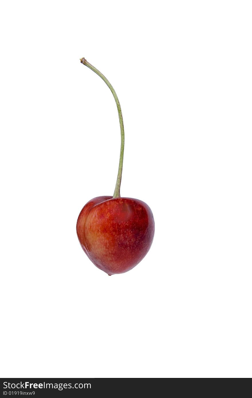 Cherry Isolated on white-studio