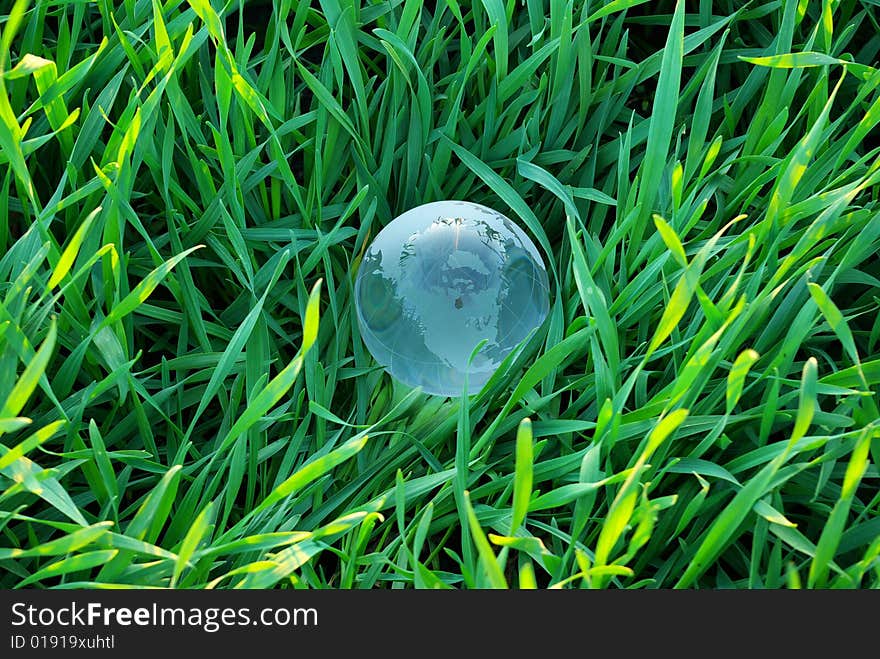 Earth globe in the grass