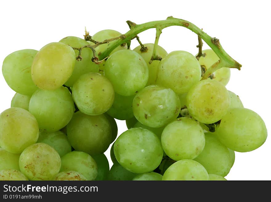 Isolated bunch of green grapes