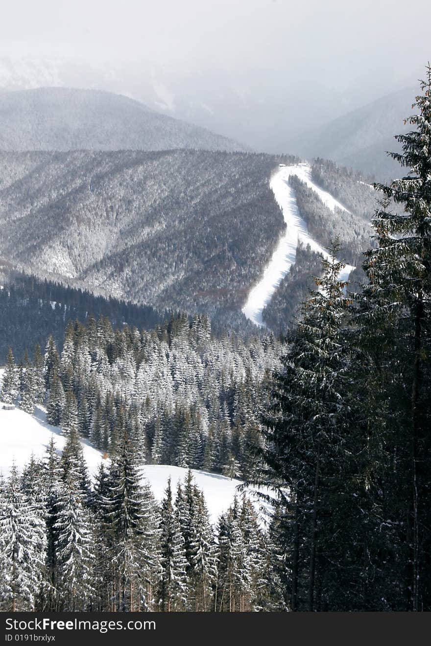 Winter mountains with snowy fir forest