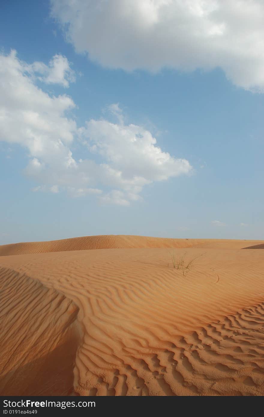 Desert And Sky