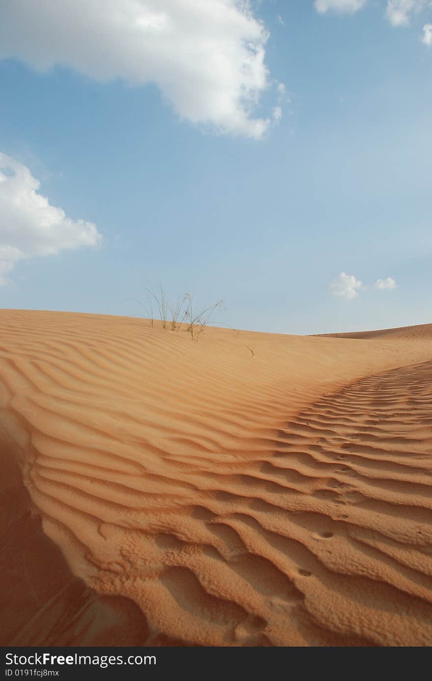 Desert And Sky