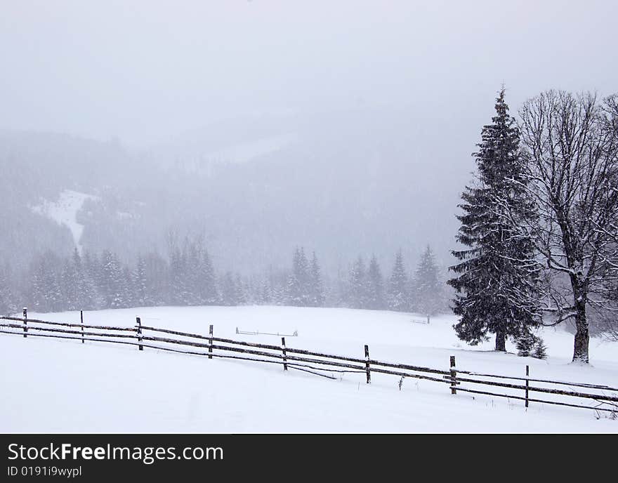 Snowy field in mountains