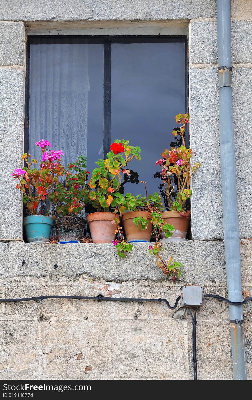 Old window