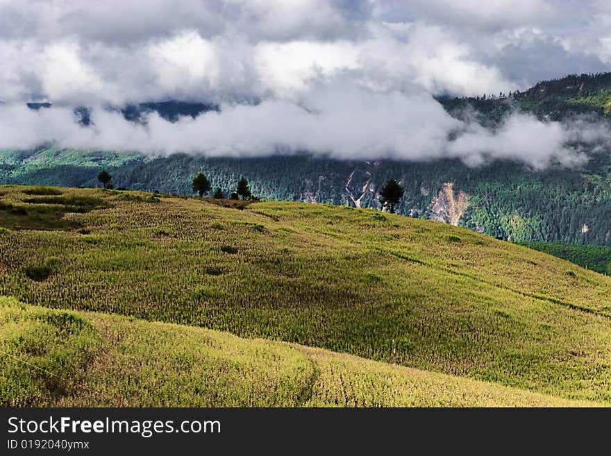 This is beautiful chinese rural scenery