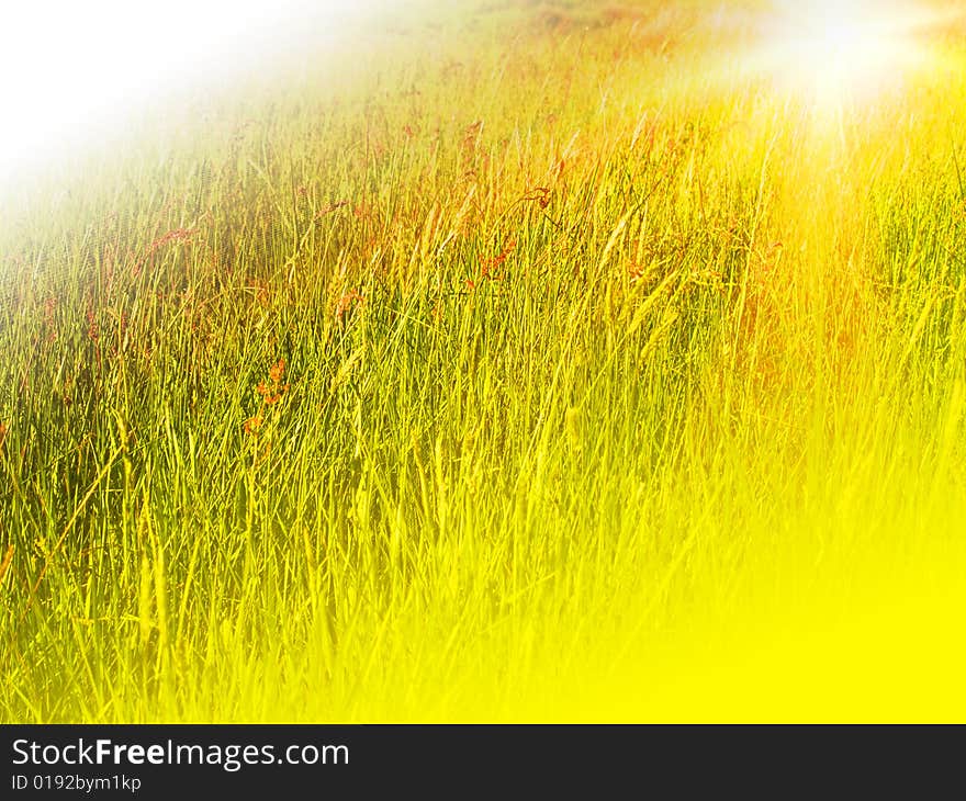 Green field colour abstract view