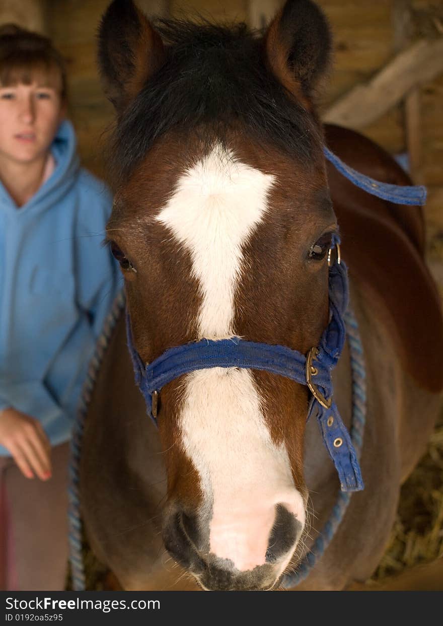 Teenage girl with  brown and white horse