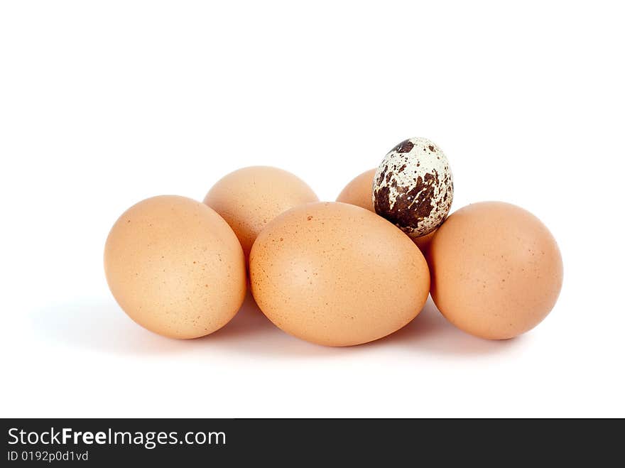 Some chicken eggs and one quail egg isolated on the white background