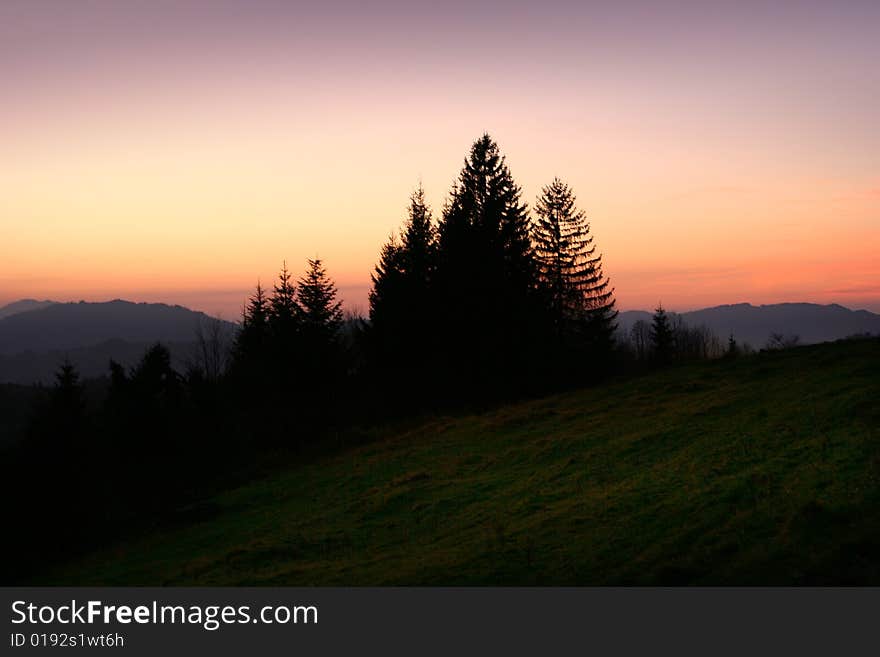 Misty trees with colorful sunrise sky. Misty trees with colorful sunrise sky