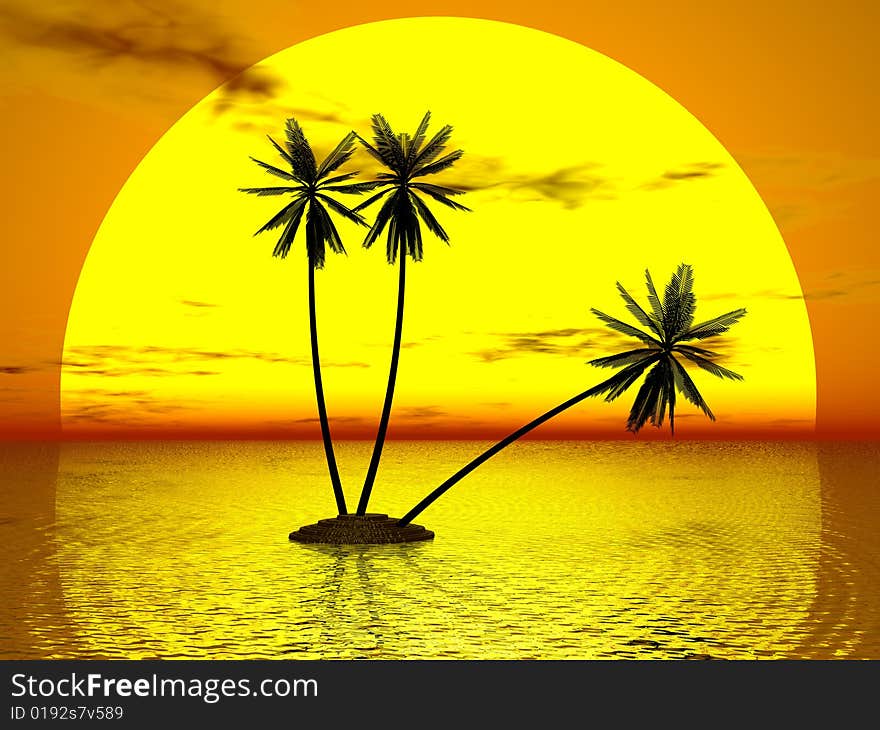 Red Sunset & Palm in sky background