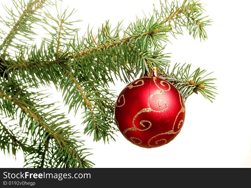 New year. Christmas. Tree decoration. Bow. Isolated.