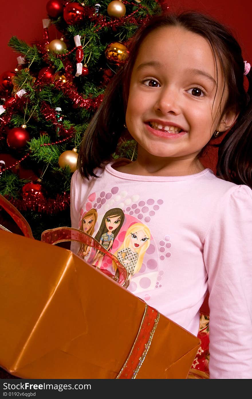 Little smiling girl with christmas gift