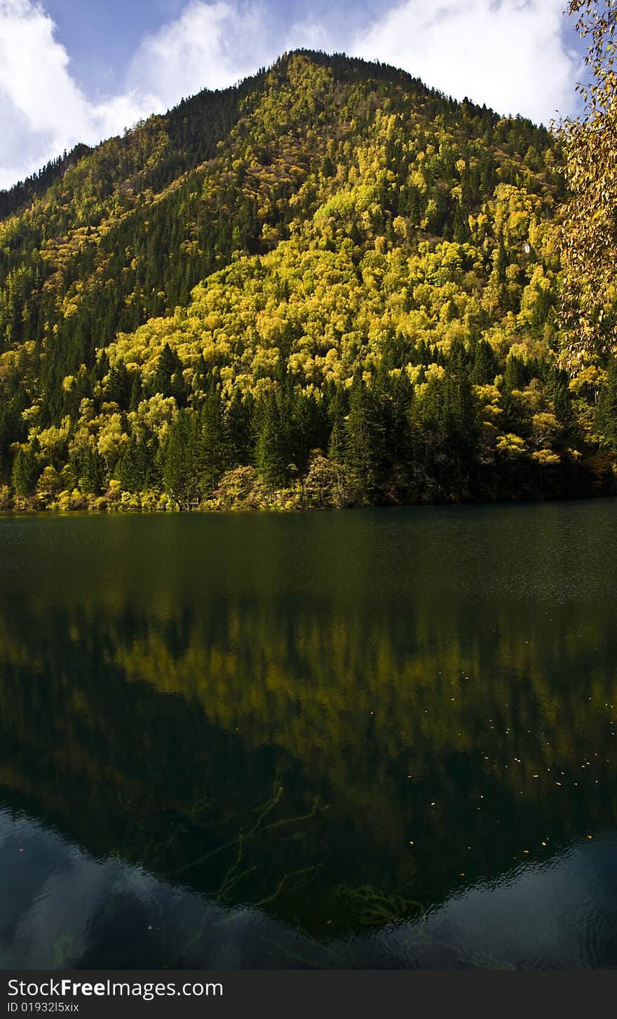 Scenery in autumn