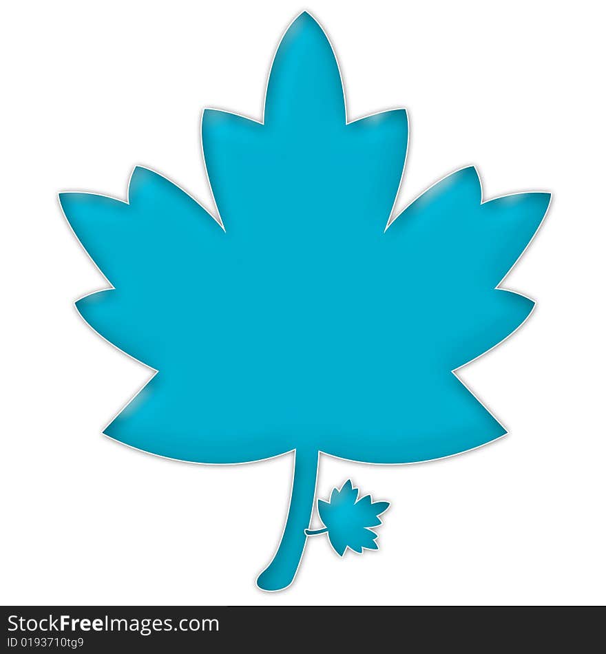 Maple leaf isolated on white - illustration