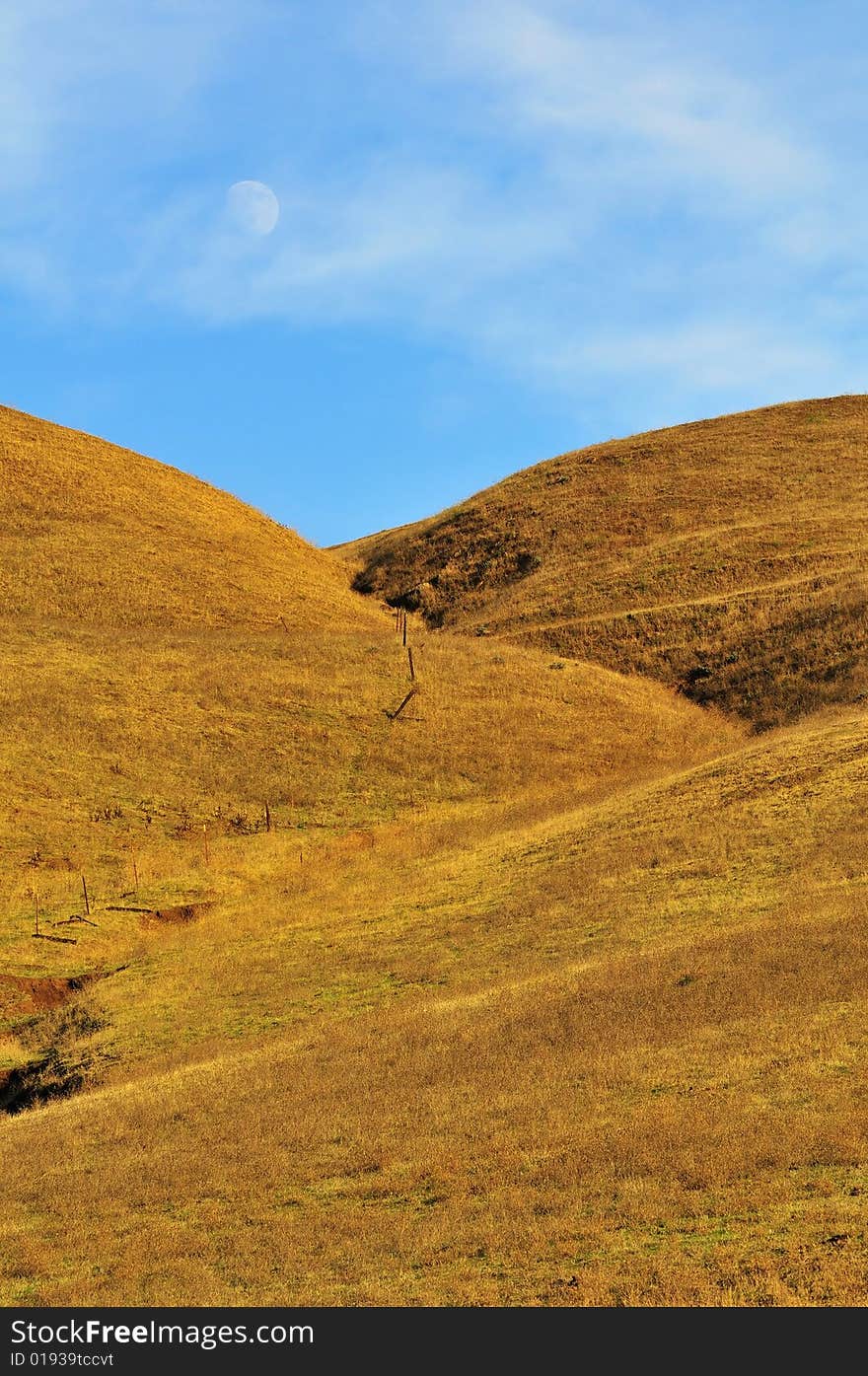 Golden grassy hill with moon