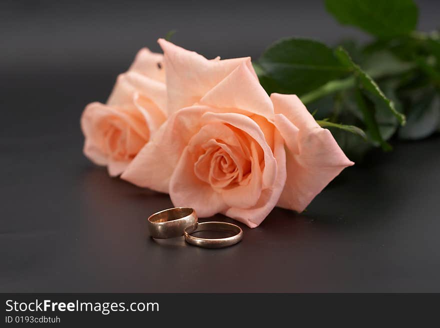 Rose and wedding rings on a black background