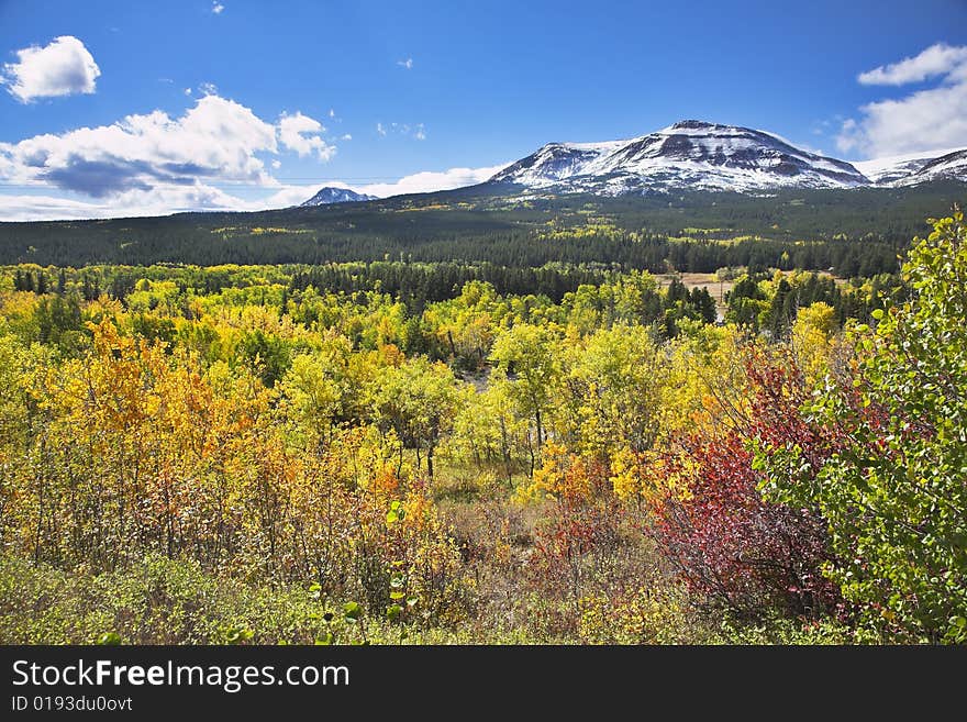 Fine multi-colour autumn in national park Glacier in Canada