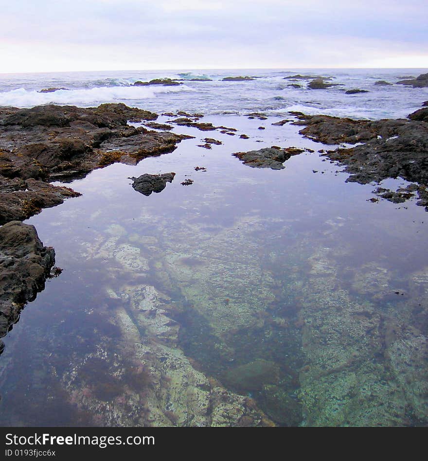 Tide Pools at Fort Bragg, California