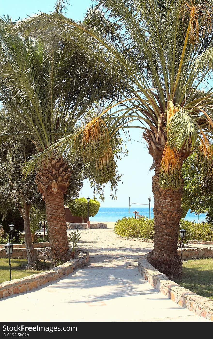 Resort At The Red Sea.