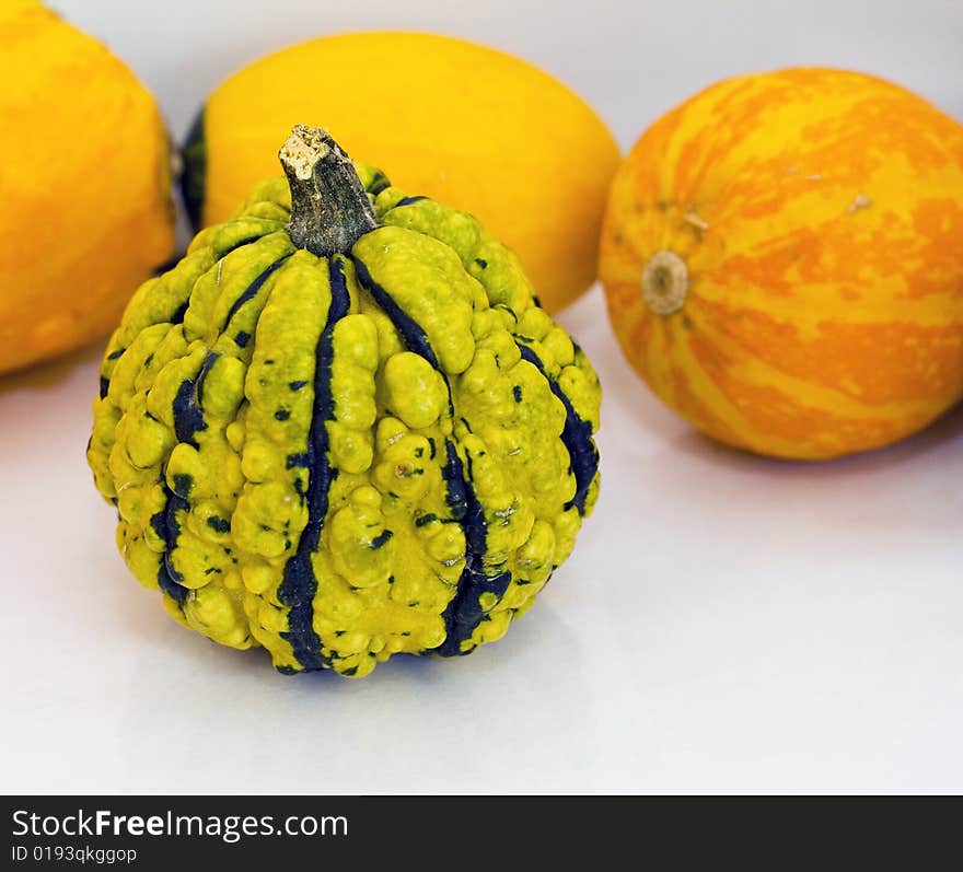 Little pumpkins, one in focus and three in the background