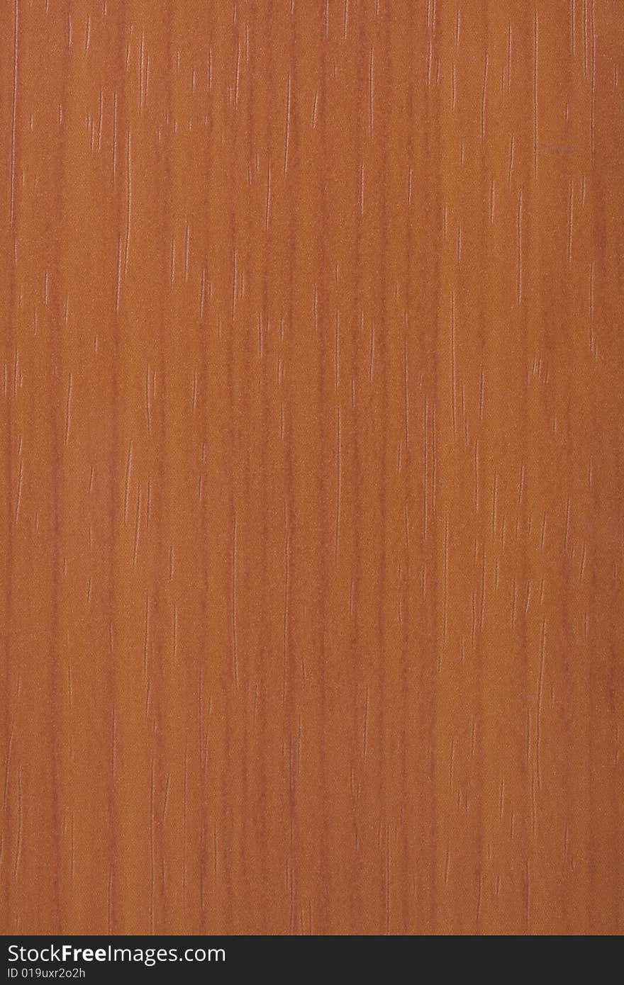 Brown wooden texture - macro background .