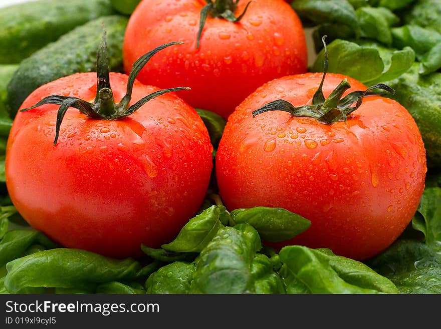 Tomatoes, cucumbers and basil on a white background. The main focus of the tomatoes. Tomatoes, cucumbers and basil on a white background. The main focus of the tomatoes.