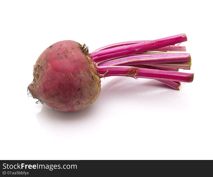 renolacha isolated on a white background. renolacha isolated on a white background