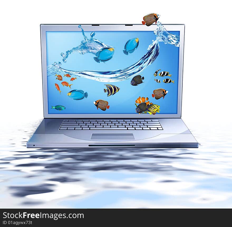 Lap top and fishes