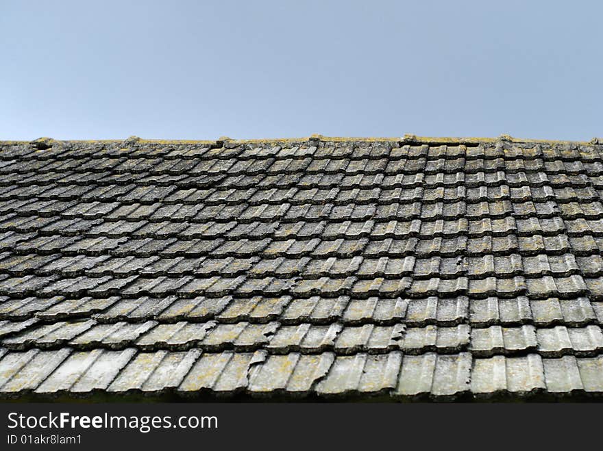 Tile On A Roof