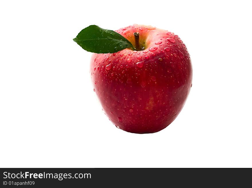 Red apple with warter drop on white background. Studio lighting. Without shodow.