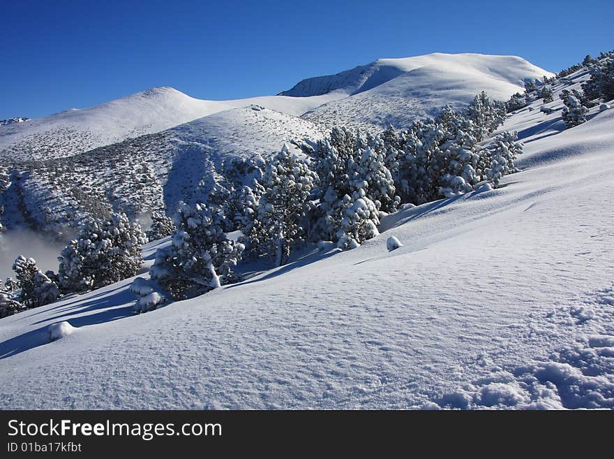 Winter mountain landscape with shining snow. Winter mountain landscape with shining snow