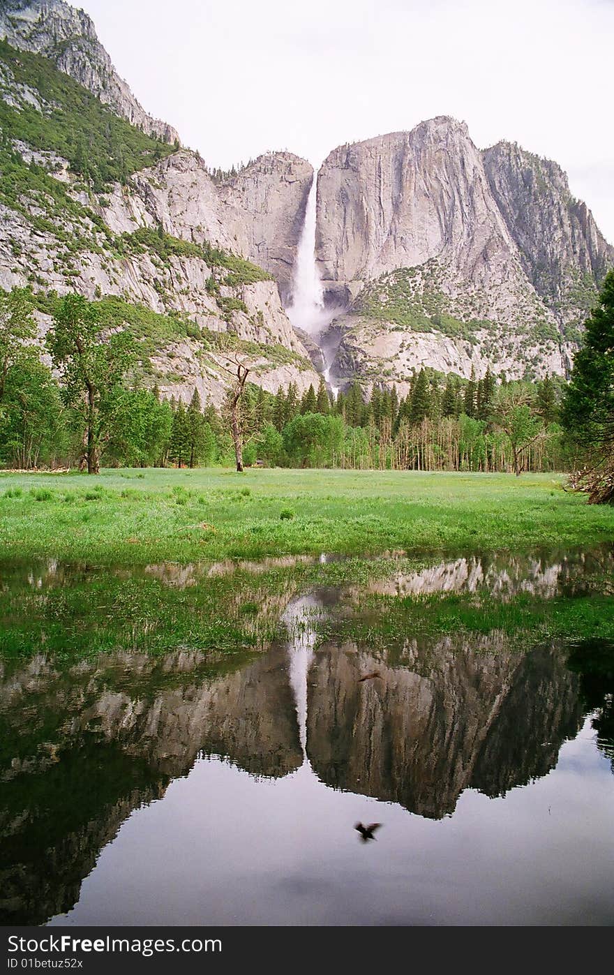 Yosemite Falls Reflection