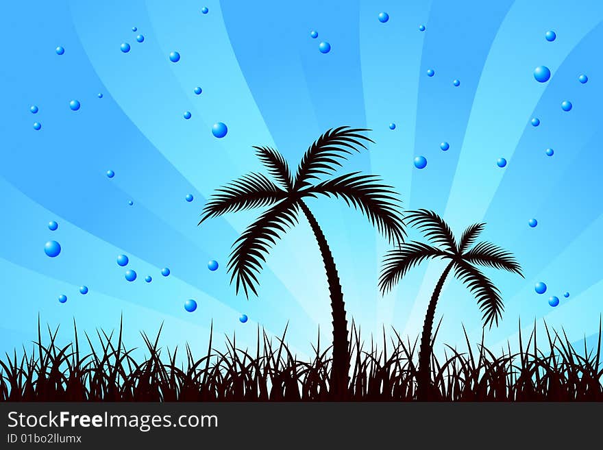 Vector illustration of Palm Trees