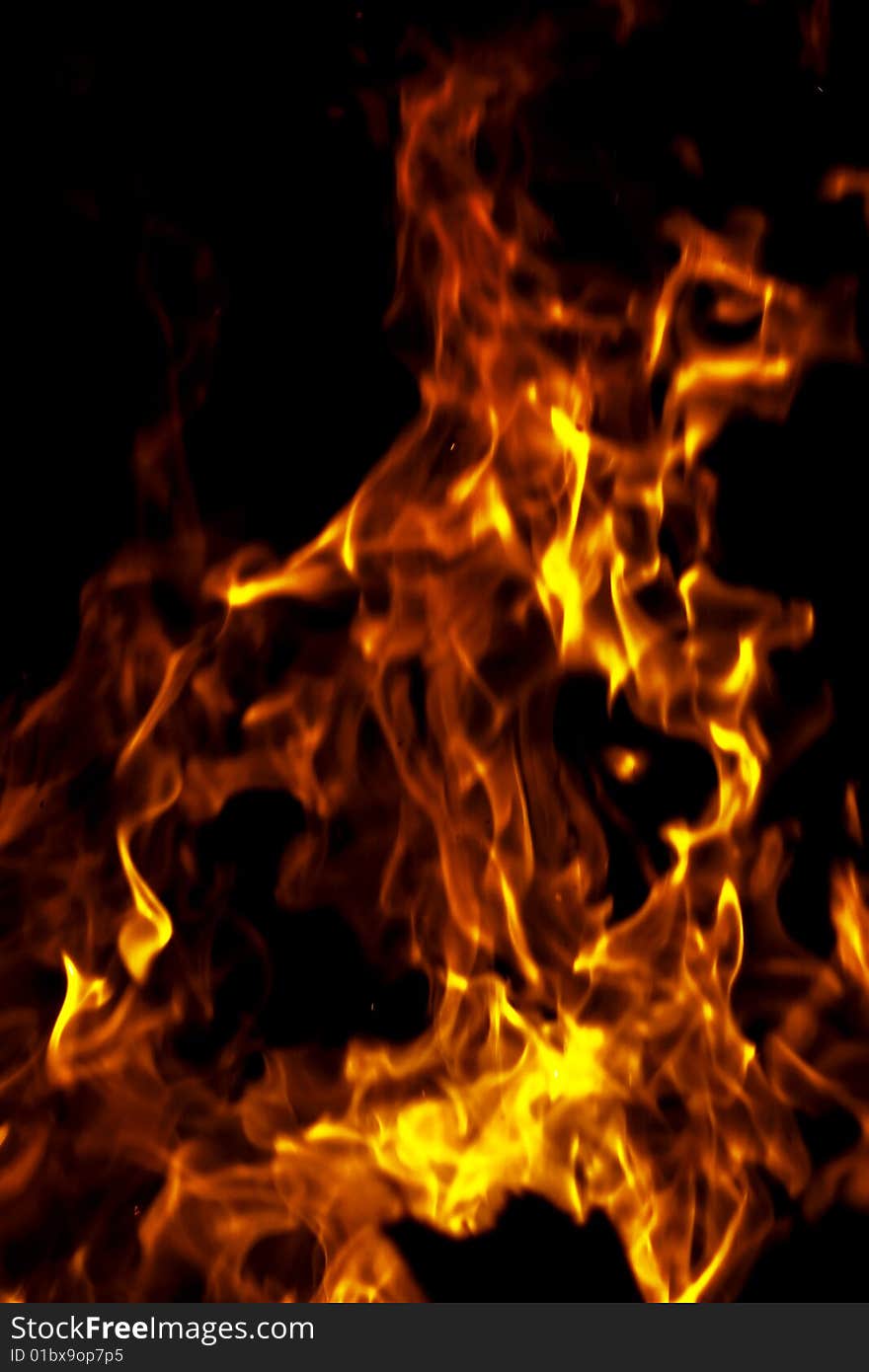 Fire isolated on a black background