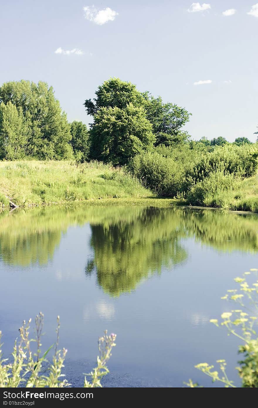 Summer scenery. Trees, Water, blue Sky