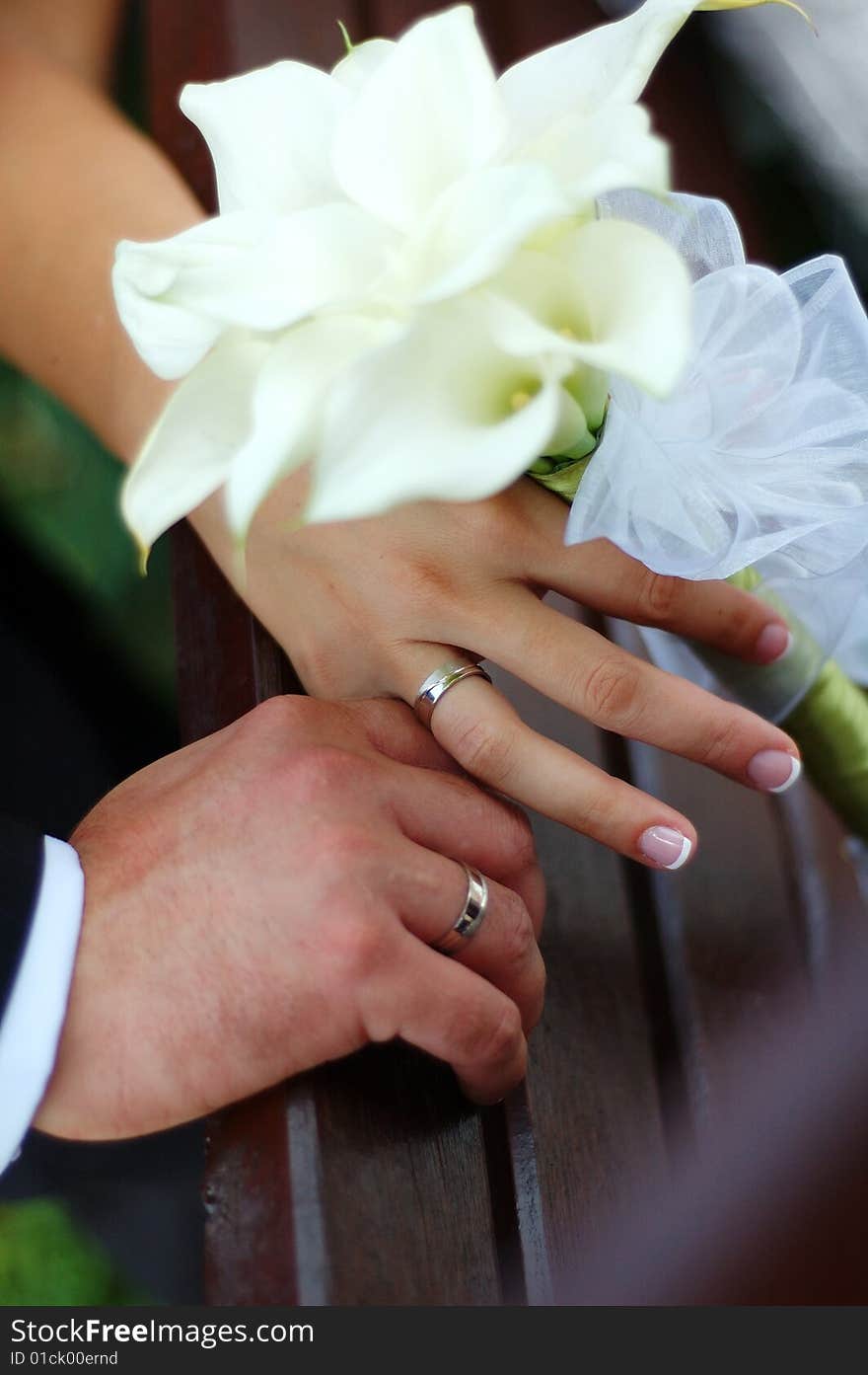 Wedding Couple Showing Rings