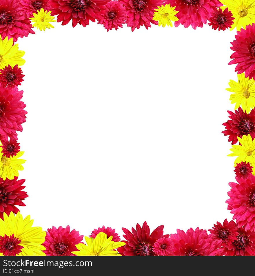 Flowers red yellow in form frame on white background