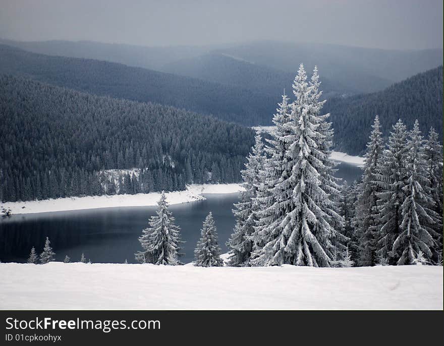 A view with a beautiful winter landscape