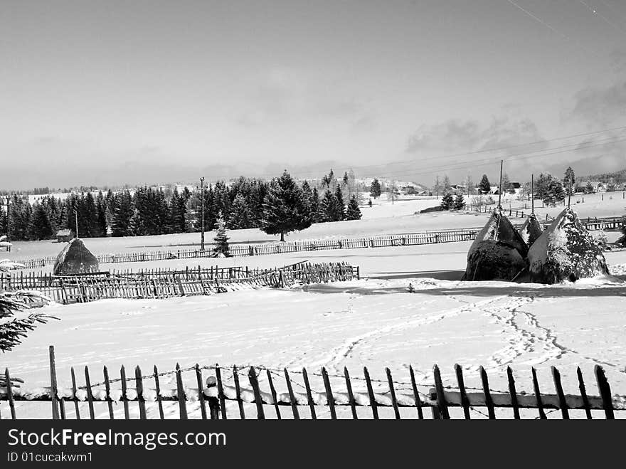 Winter landscape