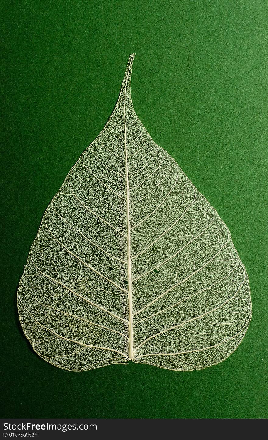 A piece of textile decoration in the shape of a white leaf lying on green background. A piece of textile decoration in the shape of a white leaf lying on green background.