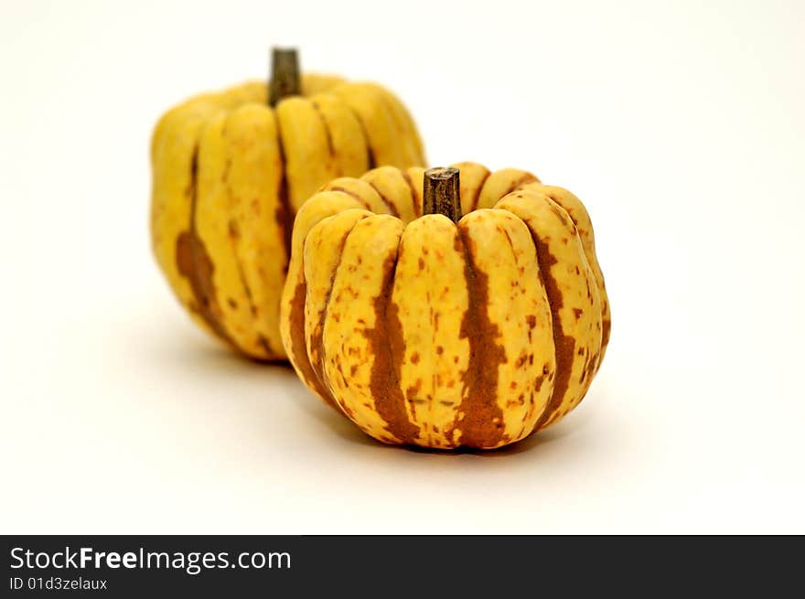 Colocynth alias Bitter-apple. In french Coloquinte. Sort of pumpkin, isolated on a white background. The other one is blurry. Colocynth alias Bitter-apple. In french Coloquinte. Sort of pumpkin, isolated on a white background. The other one is blurry.