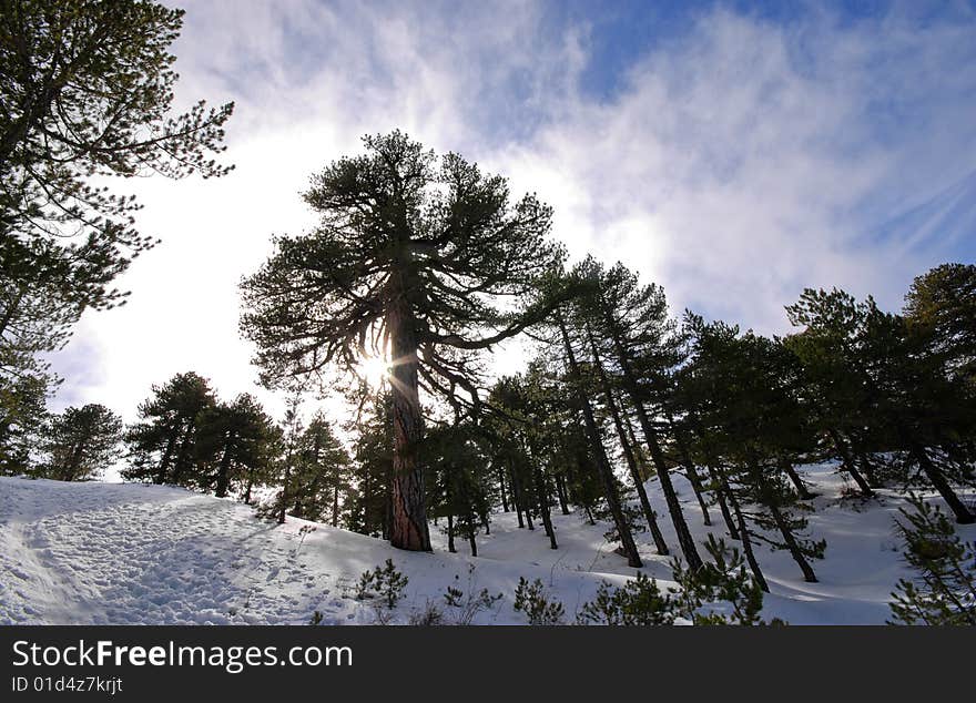 Winter mountain landscape from Troodos mountains in Cyprus