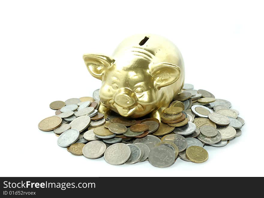 Piggy bank  isolated on white background with coins