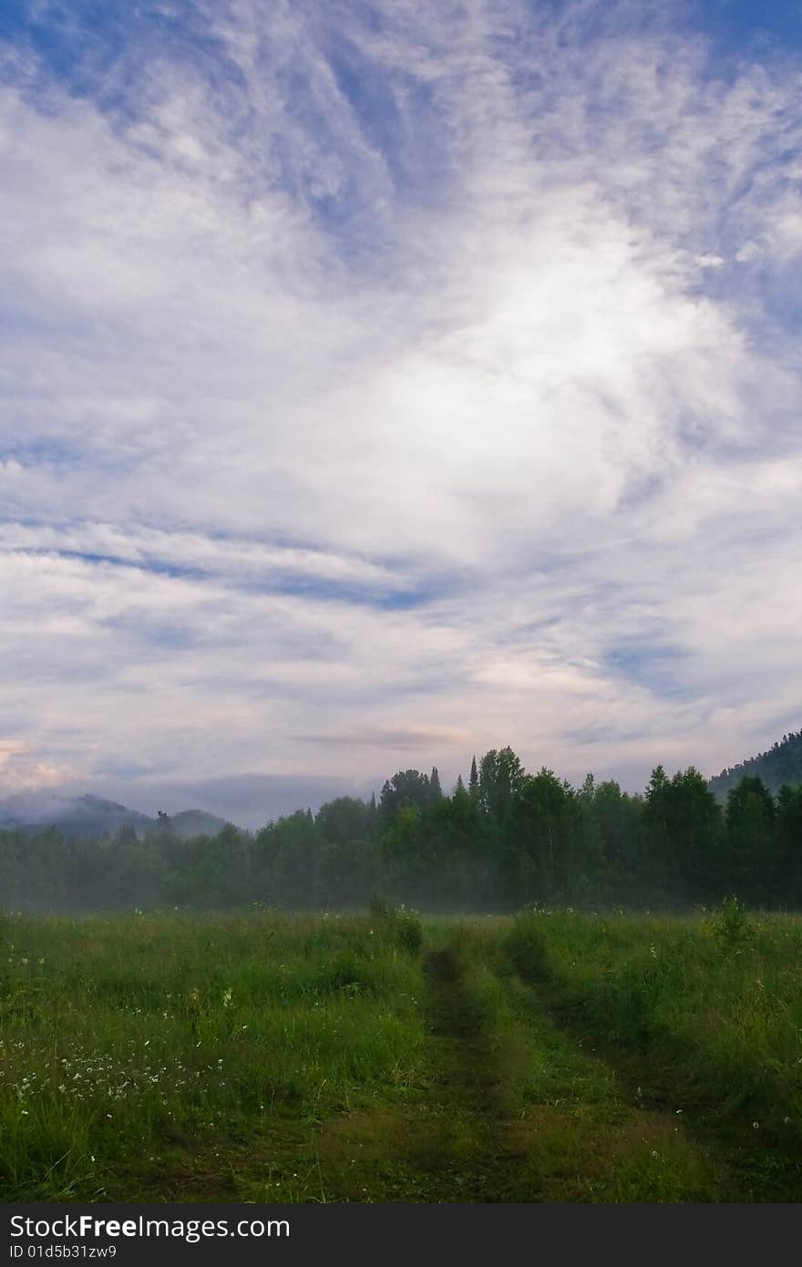 In the summer evening after a rain. In the summer evening after a rain