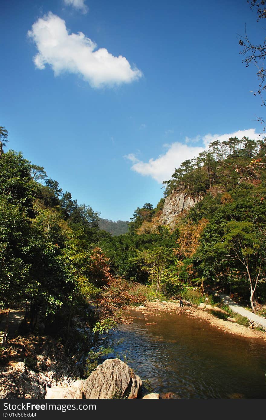 Wooded mountain