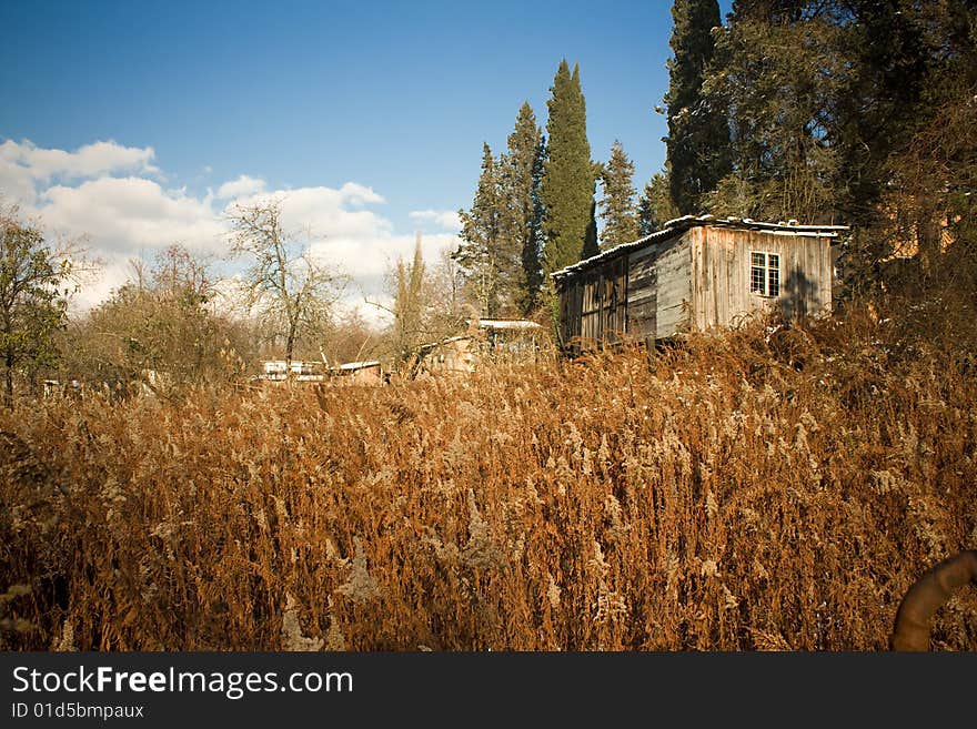 The hut over the grass meadow landscape photo