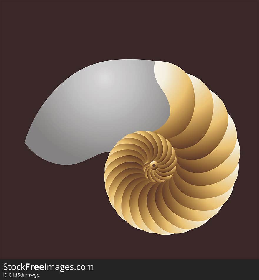 Pearly nautilus