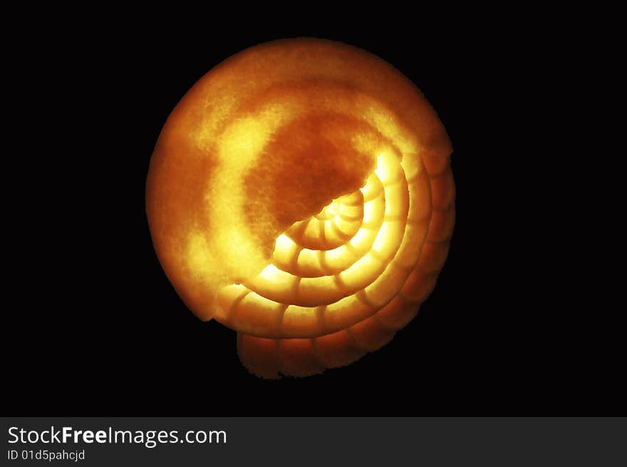 Nautilus lamp isolated on black background