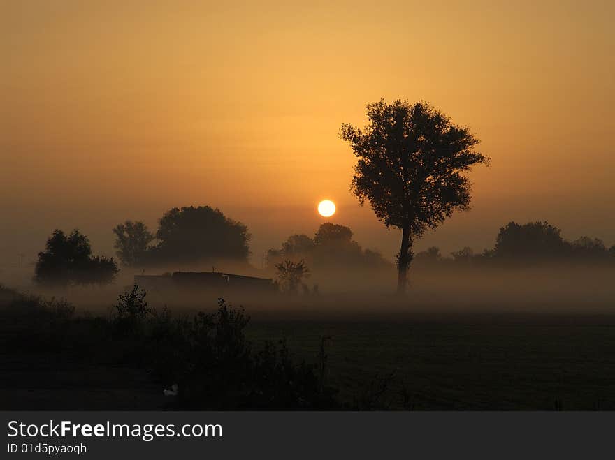 An italian sunrise which makes the observer feeling to be in Africa due to the fog