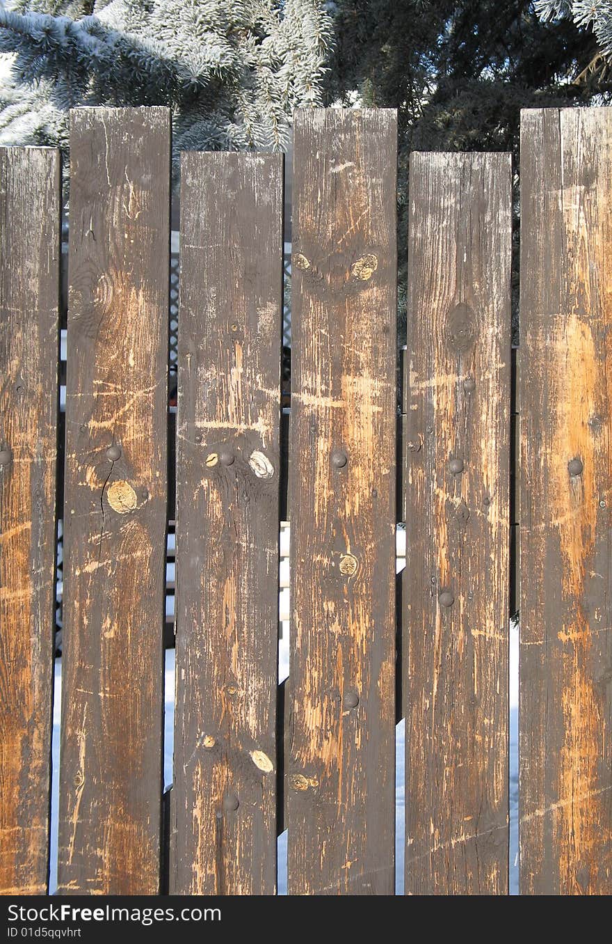 Old wooden fence and tree